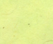 Nepalietiškas popierius 51x76cm 24 Lemon Green
