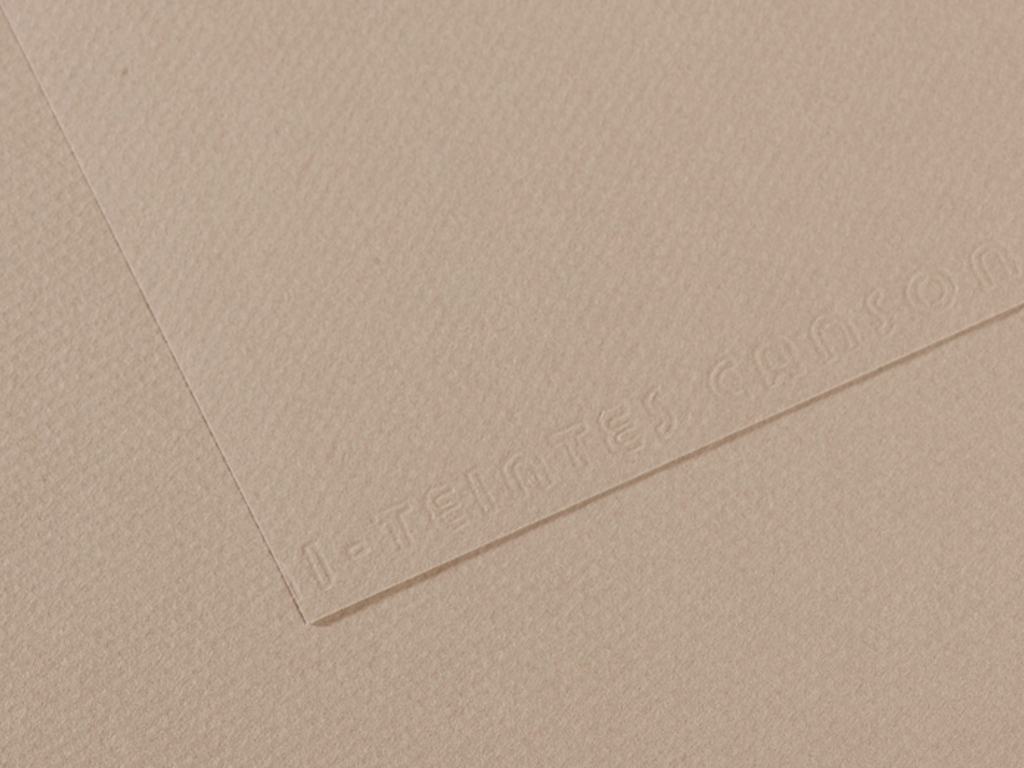 Popierius piešti pastele MiTeintes A4/160g 122 flannel