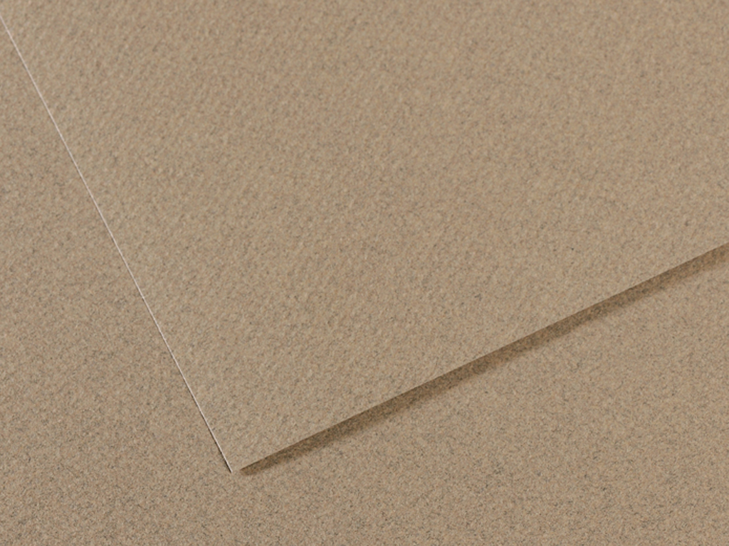 Popierius piešti pastele MiTeintes A4/160g 429 felt