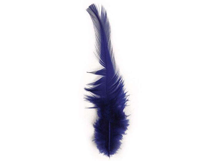 Decorative feathers Rayher Trendy - 1/3