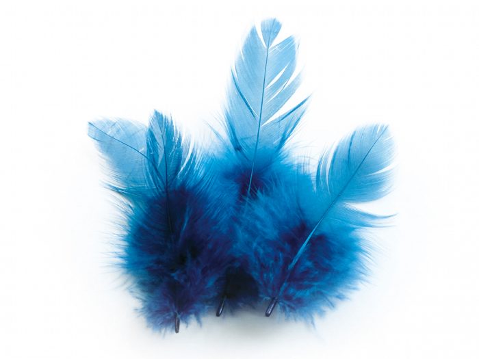 Decorative feathers Graine Creative
